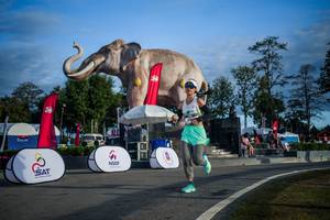 BIB: 
                            <button type="button" onclick="openModal(26541821)" class="btn btn-primary btn-sm float-right btn-popup" data-toggle="modal" data-target=".modal-high-quality">
                        <i class="fas fa-shopping-cart"></i> Add to Cart
                    </button>
                                            <button type="button" onclick="isThisMe(26541821, true)" class="btn btn-success btn-sm float-right btn-popup btn-isme hidden" data-toggle="tooltip" data-placement="bottom" title="นี่คือรูปของคุณใช่ไหม คลิกที่นี่เพื่อเอาเข้าอัลบั้ม">
                        <i class="fas fa-plus"></i> Add to album
                    </button>
                    <button type="button" onclick="isThisMe(26541821, false)" class="btn btn-warning btn-sm float-right btn-popup btn-isnotme hidden">
                        <i class="fas fa-ban"></i> Remove from album
                    </button>